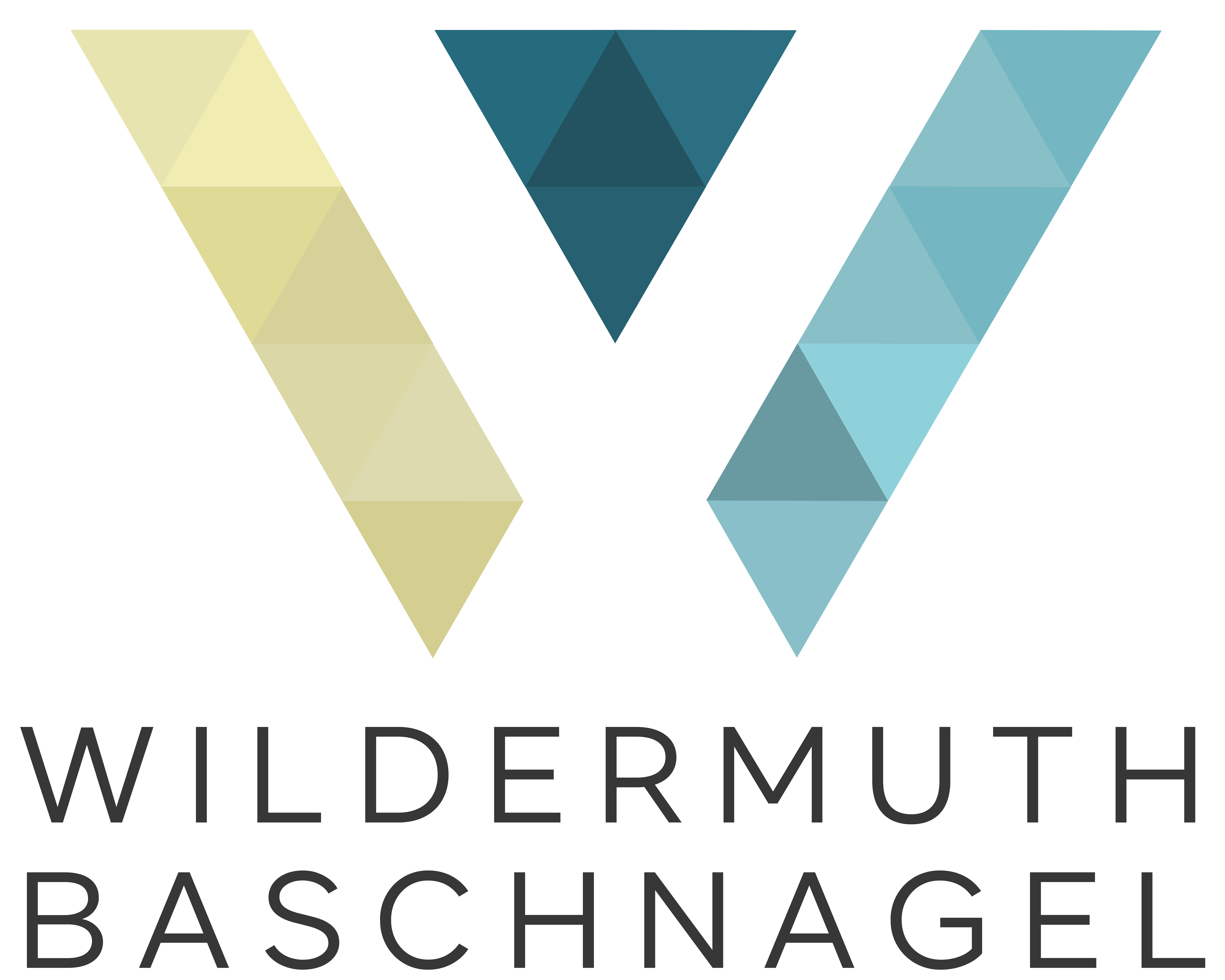 Logo von Wildermuth + Baschnagel PartG mbB